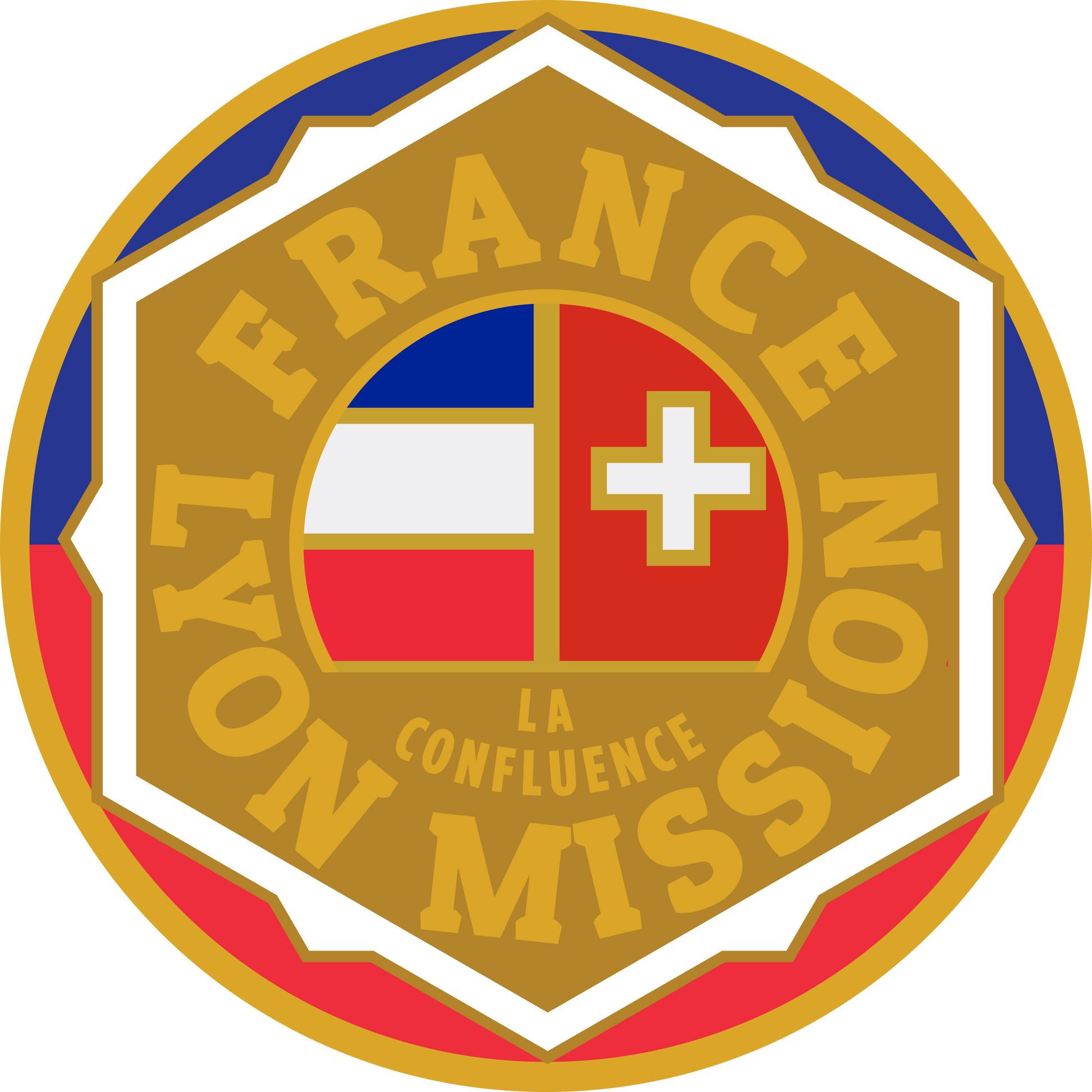 france lyon mission decal